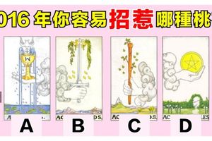 ［塔羅占卜］2016年你容易招惹哪種桃花