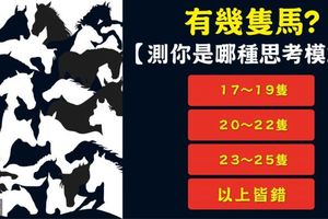 【圖像思維測驗】超難! 你看出幾隻馬?測你的思考模式!