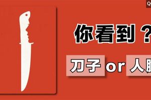 一秒測出 你是理智型or直覺型