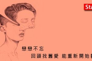 【愛情心測】戀戀不忘，回頭找舊愛能重新開始嗎？