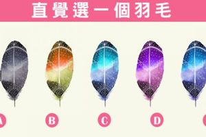 【古典流傳星空羽毛】選羽毛看出你才能！