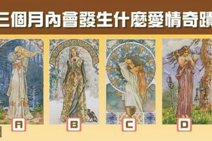 【預言女神塔羅】三個月內會發生什麼愛情奇蹟