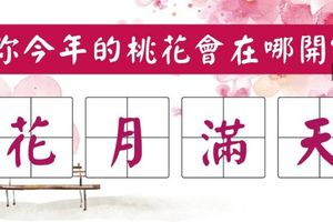 春神測字！你今年的桃花會在哪開？