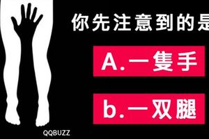 一張圖！看你是感性派還理性派！