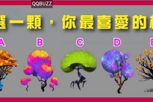 99%準~你最喜愛哪顆樹?測出你隱藏的內心!!