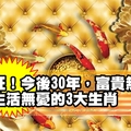 旺！今後30年，富貴無邊、生活無憂的3大生肖