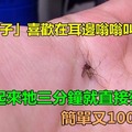原來「蚊子」喜歡在耳邊嗡嗡叫是因為…！這招學起來牠三分鐘就直接死了！簡單又100%見效！