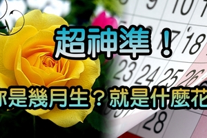 超神準！你是幾月生？就是什麼花！「臘梅花」這個月的人超多爛桃花！