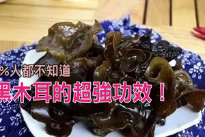 沒看這篇你絕對不知道，「黑木耳」為什麼是食物中的王者！它能抗血栓、清腸胃甚至能夠......功效強大到兩隻手數不完！