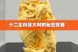 十二生肖發大財的秘密武器