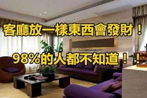 客廳放一樣東西會發財！！98%的人都不知道！！一定要看！200%見效！！！