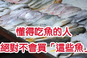 懂得吃魚的人絕對不會買「這些魚」！看一眼，別再把細菌吃下肚...