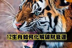 12生肖如何化解破財衰運