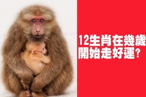 12生肖在幾歲開始走好運