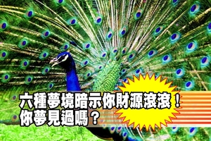 六種夢境暗示你財源滾滾！你夢見過嗎？