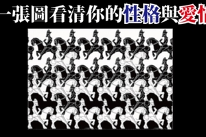 超準！一張圖直接到破你大腦潛意識中「理性」與「感性」的差距有多大！