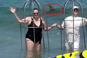 怕被鯊魚吃掉，天才夫婦竟套著「鐵籠」出海結果…