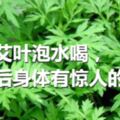 她用艾葉泡水喝，三天後身體有驚人的變化