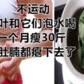 不運動，桑葉和它們泡水喝，一個月瘦30斤，大肚腩都癟下去了