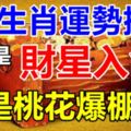 7月生肖運勢排行，看你是財星入命，還是桃花爆棚？