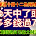 第五十期十二生肖財運號碼。今天中了頭獎，拿多多錢過7月。可別錯過自己的大財運！