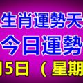 十二生肖運勢天天看，今日運勢：8月5日