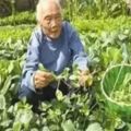 102歲老人30歲的器官，到底是怎麼做到的？