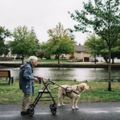 92歲阿嬤原本已經准備孤獨地等著死神到來，直到她遇到狗兒子…那畫面太催淚！