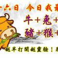 十月十六日，今日我最旺！牛+兔+雞+豬+猴+鼠！越早打開越靈驗！別不信！