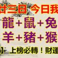 十月廿三日，今日我最旺！龍+鼠+兔+羊+豬+猴！【8528】上榜必轉！財運旺順！