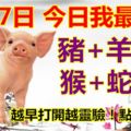 11月7日，今日我最旺！豬+羊+馬+猴+蛇+牛！【68688】越早打開越靈驗！點個贊吧！