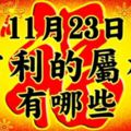 11月23日週四吉利的屬相有哪些？