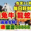 今天11月24日,每日旺財提示：馬雞兔牛，龍蛇猴鼠。旺財日遍地生財！錢財亨通留言38868必轉！