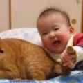貓咪不理小寶寶，小寶寶抓住它的尾巴一口咬下，只聽見一聲慘叫！