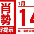 生肖運勢，天天好提示（1月14日）