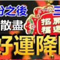 4月份之後，黴運散盡，好運降臨的生肖&十二生肖穿對顏色鞋子，財運會一路旺到底~