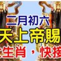 二月初六，玄天上帝賜財，【8大生肖，快接財】