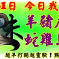 3月31日，今日我最旺！羊豬虎牛蛇雞馬猴！【96688】越早打開越靈驗！點個贊吧！