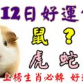 4月12日好運生肖，財神敲響您大門！【鼠+？+龍+虎+蛇+羊】『81688上榜生肖必轉好運連發』