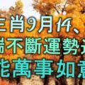 5大生肖9月14、15日「福瑞不斷」「運勢逆襲」定能萬事如意！