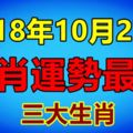 10月27號生肖運勢最旺的三大生肖