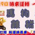 10月29日時來運轉一路發，馬狗羊雞豬猴，88秒內打開，好運跟著來『16888』