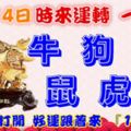 11月14日時來運轉一路發，牛狗兔鼠虎雞，88秒內打開，好運跟著來『16888』