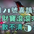 11月21號喜鵲瘋狂叫，金銀財寶滾滾來，財富數不清的5大生肖！