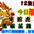 2018年12月7日，星期五農歷十一月初一（戊戌年甲子月癸酉日）