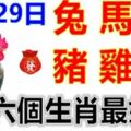 12月29日生肖運勢_兔、馬、猴大吉