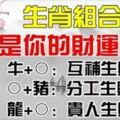 12生肖的「黃金搭檔」：誰是你的旺財生肖？