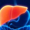 肝臟不好也會患上糖尿病？護肝謹記4個小技巧，幫你遠離疾病