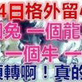 3月4日：一個兔，一個龍，一個牛，一個馬。