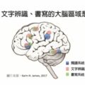 科學研究證實：學寫字有助於孩子的閱讀力發展！